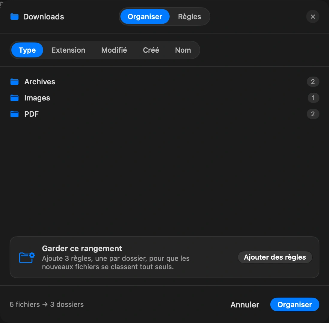 Rangez une fois: Maintenant trie ce qui est là par type ou par date, dans des dossiers comme Images, PDF et Archives. Vous voyez un aperçu de ce qui va bouger avant que rien ne bouge, et un seul Annuler défait toute la passe.