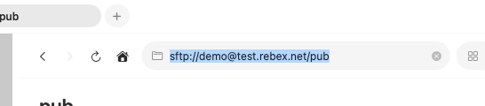The Connect to Server sheet, pre-filled with the scheme, host, port, user, and path parsed from the typed URL
