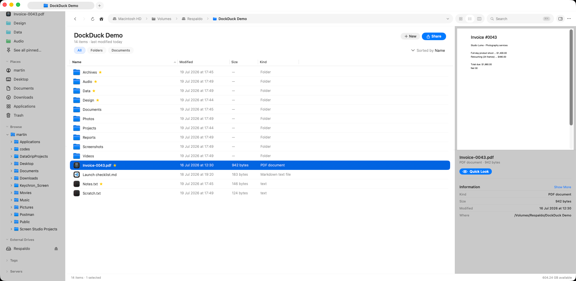 The preview panel beside a folder listing, showing a rendered preview at the top and a metadata block below