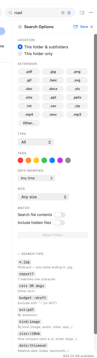 The search options panel opened from the search pill, with extension chips, type, tags, date, and size controls